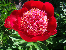 DSC07260.JPG