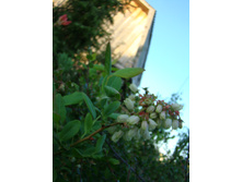 DSC07203.JPG