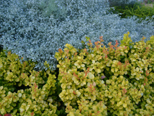 DSC_0049.jpg