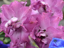 DSC_0328.jpg