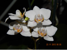 ����.JPG