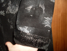 SDC13619.JPG