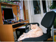 DSCN2332.JPG