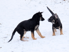 ���_IMG_0146.jpg