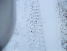 DSCF3953.jpg