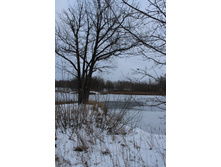 IMG_3860.JPG