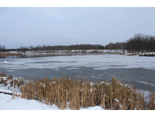 IMG_3875.JPG