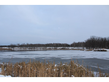 IMG_3876.JPG