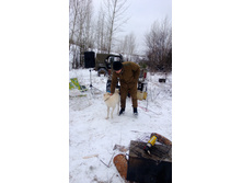 WP_20131130_014.jpg