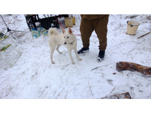 WP_20131130_015.jpg