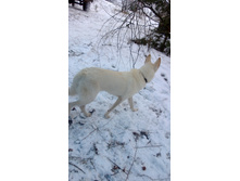 WP_20131130_023.jpg