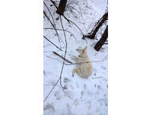 WP_20131130_024.jpg