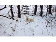 WP_20131130_025.jpg