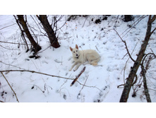 WP_20131130_026.jpg
