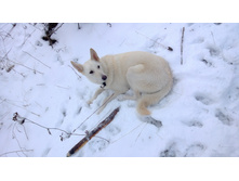 WP_20131130_027.jpg