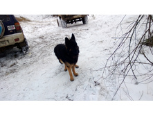 WP_20131130_028.jpg