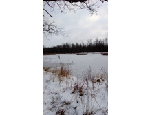 WP_20131130_039.jpg