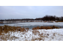 WP_20131130_040.jpg
