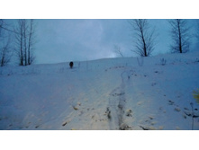 WP_20131130_066.jpg