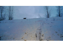 WP_20131130_067.jpg