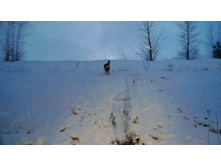 WP_20131130_069.jpg