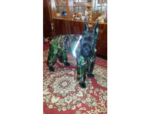 20131116_200921.jpg