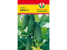 ������ ���� F1  ��� ���  �� 5 ��. Seminis (����������� ������) 6,70�.jpg