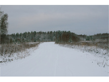 DSC_6987.jpg