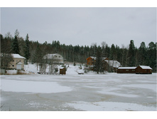 DSC_7013.jpg