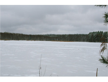 DSC_7034.jpg