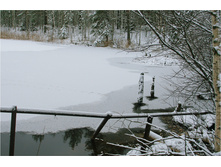 DSC_7036.jpg