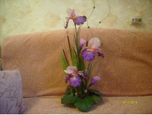S7300041.JPG