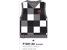 F1301-03.png