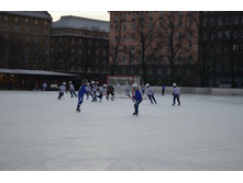 DSC_0323.jpg