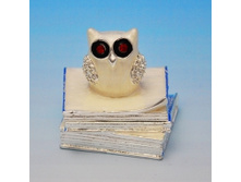 small_NP-07240.jpg