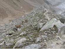 MG_5551.jpg