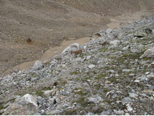 MG_5552.jpg