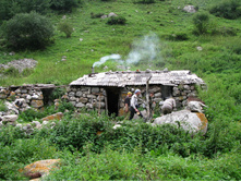 MG_5695.jpg