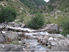 MG_5744.jpg