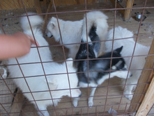 DSCN5519.JPG
