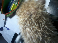 20131206_133111.jpg