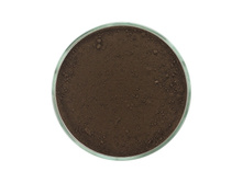 Coffee Bean Shadow.jpg