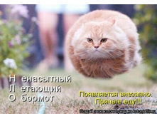16.05.2010 18:11:14