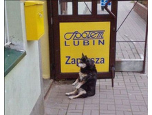 16.05.2010 18:11:28