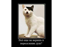 16.05.2010 18:12:53