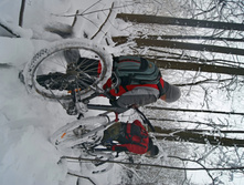 DSC06252.JPG