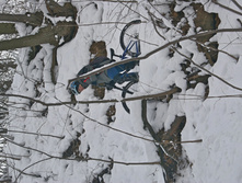 DSC06371.JPG