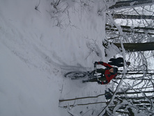 DSC06441.JPG