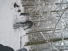 DSC06497.JPG