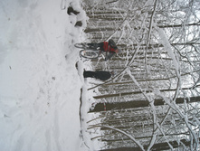 DSC06500.JPG